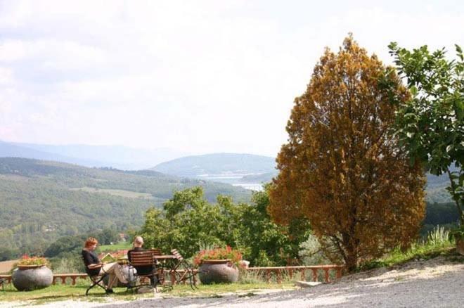 Agriturismo Terra Di Michelangelo Caprese Michelangelo Chambre photo